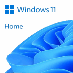 win11home-removebg-preview
