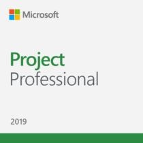 2019ProjectProfessional_dc513e7d-7d50-4493-9d2e-b4edbc66b887