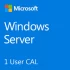 Microsoft Windows Server 2022 - 1 User CAL CSP