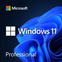 Windows11Professional_380x380