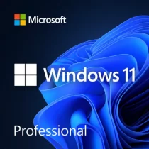 Windows11Professional_380x380